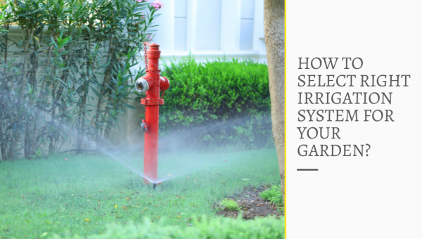 How to Select the Right Irrigation System For Your Garden?